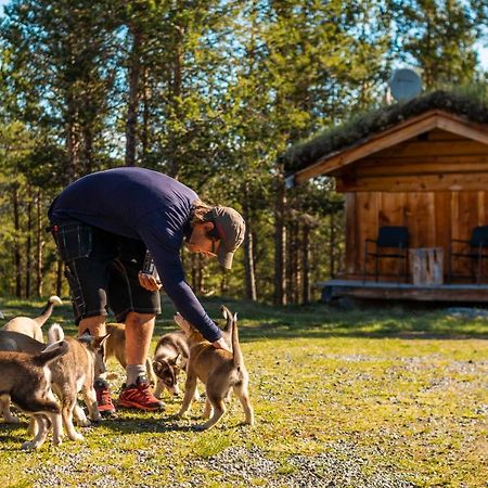Jotunheimen Husky Lodge Randsverk Luaran gambar