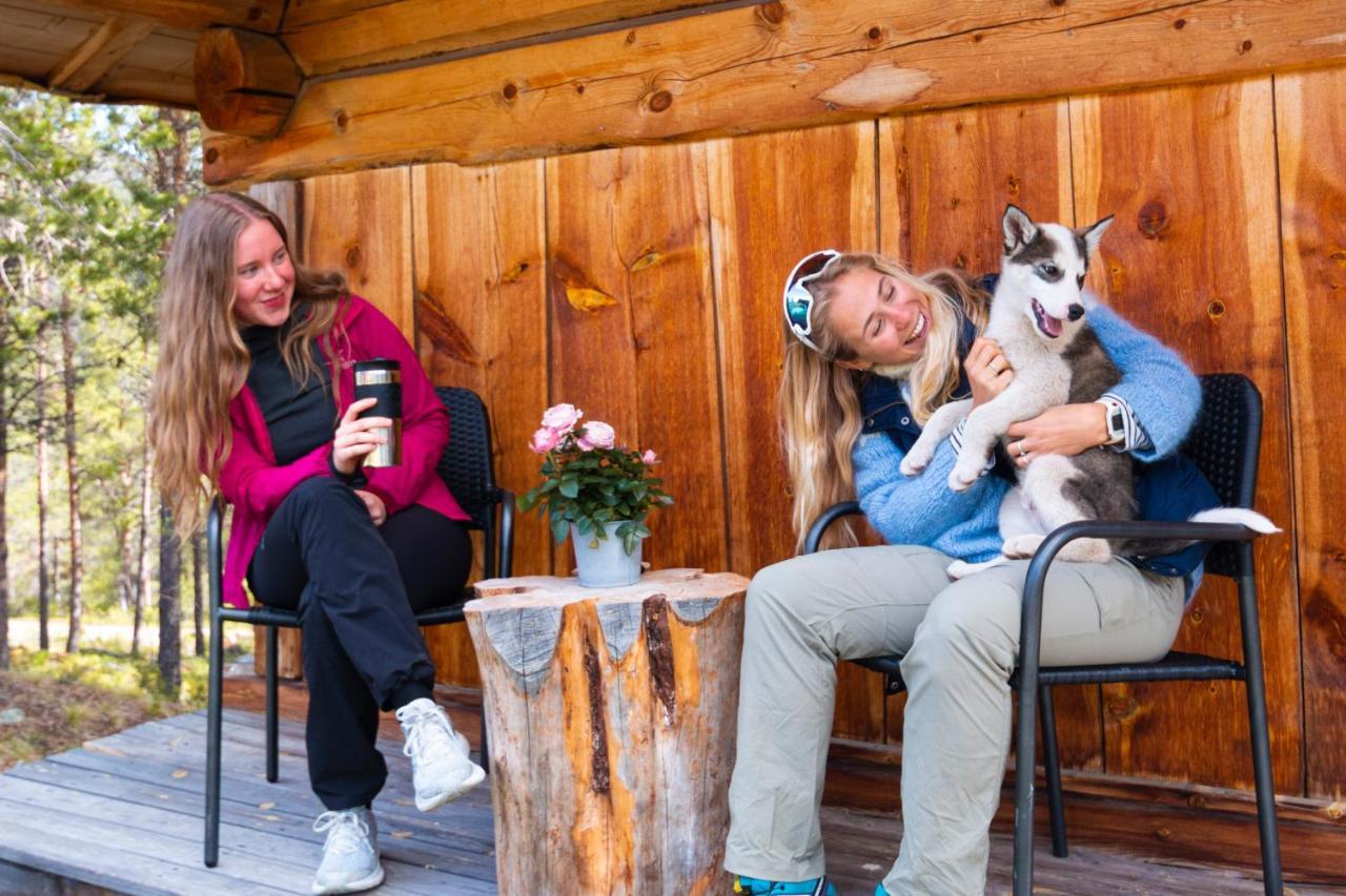 Jotunheimen Husky Lodge Randsverk Luaran gambar