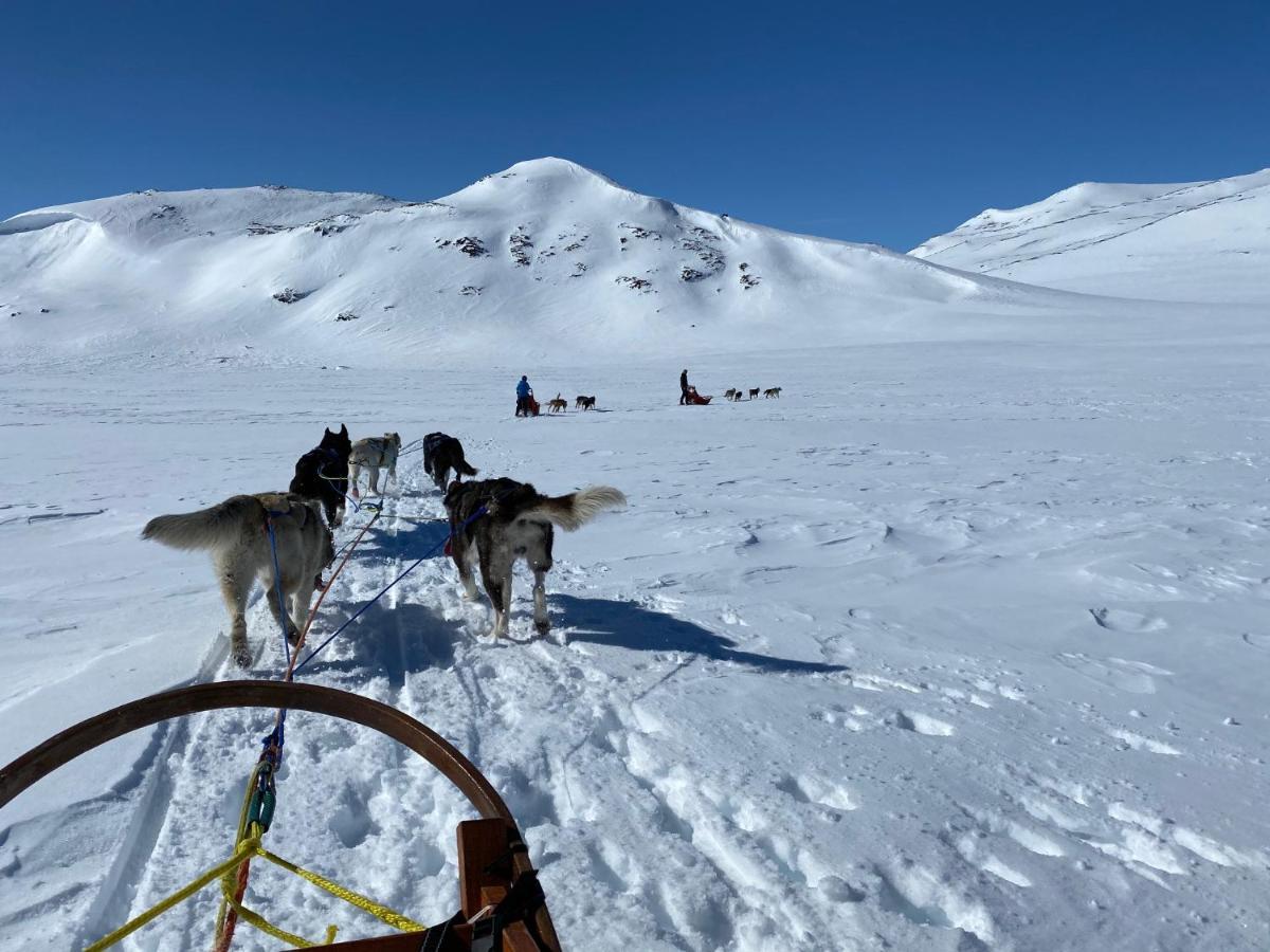 Jotunheimen Husky Lodge Randsverk Luaran gambar